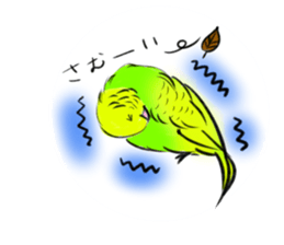 A lovely and interesting parrot. sticker #4400958