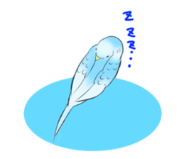 A lovely and interesting parrot. sticker #4400975