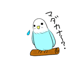 A lovely and interesting parrot. sticker #4400988