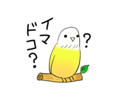 A lovely and interesting parrot. sticker #4400989
