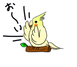 A lovely and interesting parrot. sticker #4400990