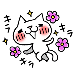 The White Kitten Kitty Ver.3