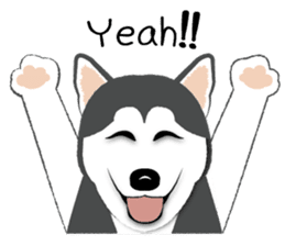 Huskies lover sticker #4402275