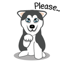 Huskies lover sticker #4402276
