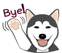 Huskies lover sticker #4402278