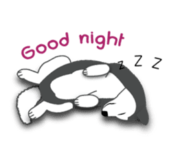 Huskies lover sticker #4402280