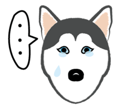 Huskies lover sticker #4402286