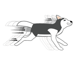 Huskies lover sticker #4402294