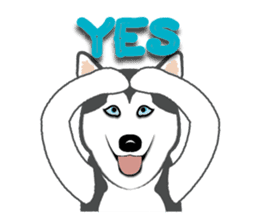 Huskies lover sticker #4402298