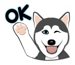 Huskies lover sticker #4402301