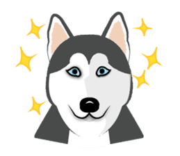 Huskies lover sticker #4402302