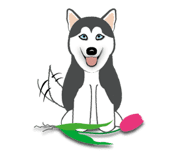 Huskies lover sticker #4402304
