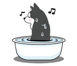 Huskies lover sticker #4402307