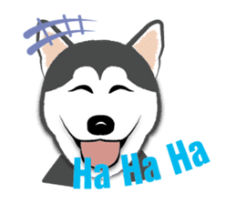 Huskies lover sticker #4402311