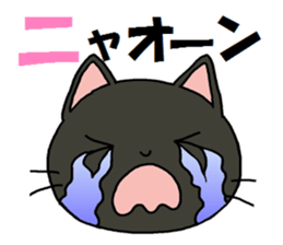 Sticker of an expressive cat2 sticker #4403259