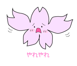 Cherry blossoms pippi sticker #4404084