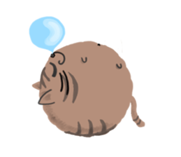 Round of Cat sticker #4406562