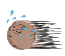 Round of Cat sticker #4406579