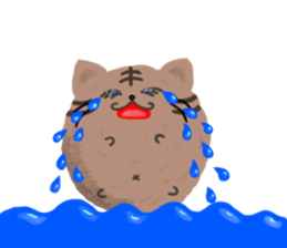 Round of Cat sticker #4406582