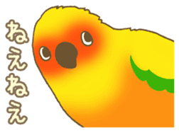 Do me a favor? from Parrots & Birds sticker #4407152