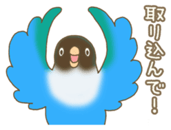 Do me a favor? from Parrots & Birds sticker #4407155