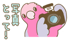 Do me a favor? from Parrots & Birds sticker #4407176