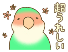 Do me a favor? from Parrots & Birds sticker #4407191