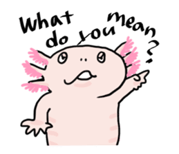 Rough axolotl,  Hanayo <English version> sticker #4412353