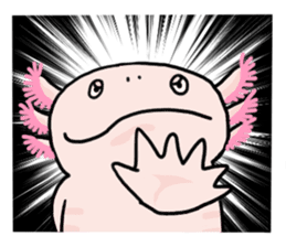 Rough axolotl,  Hanayo <English version> sticker #4412356