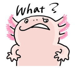 Rough axolotl,  Hanayo <English version> sticker #4412357