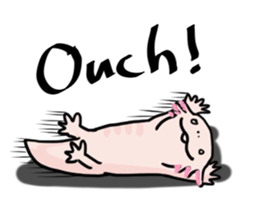 Rough axolotl,  Hanayo <English version> sticker #4412359