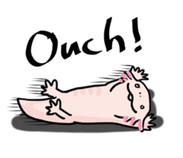 Rough axolotl,  Hanayo <English version> sticker #4412359