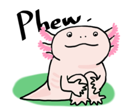 Rough axolotl,  Hanayo <English version> sticker #4412361
