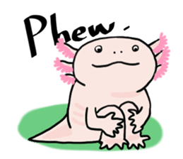 Rough axolotl,  Hanayo <English version> sticker #4412361