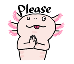 Rough axolotl,  Hanayo <English version> sticker #4412365