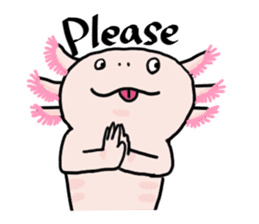 Rough axolotl,  Hanayo <English version> sticker #4412365