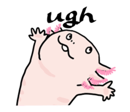 Rough axolotl,  Hanayo <English version> sticker #4412367