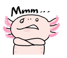 Rough axolotl,  Hanayo <English version> sticker #4412368