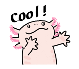 Rough axolotl,  Hanayo <English version> sticker #4412369