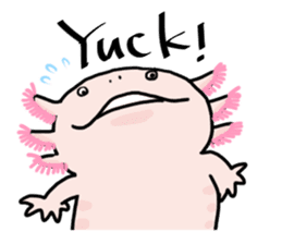 Rough axolotl,  Hanayo <English version> sticker #4412371