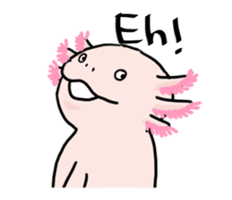 Rough axolotl,  Hanayo <English version> sticker #4412372