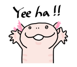 Rough axolotl,  Hanayo <English version> sticker #4412373