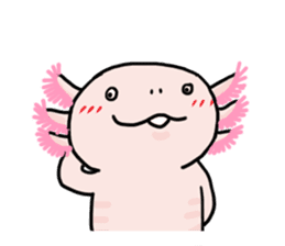 Rough axolotl,  Hanayo <English version> sticker #4412374
