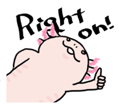 Rough axolotl,  Hanayo <English version> sticker #4412375