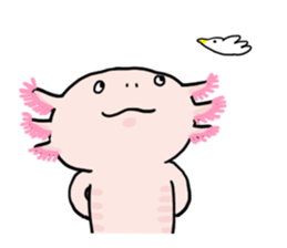 Rough axolotl,  Hanayo <English version> sticker #4412384