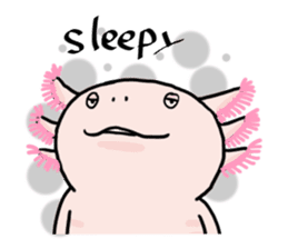 Rough axolotl,  Hanayo <English version> sticker #4412385