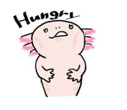 Rough axolotl,  Hanayo <English version> sticker #4412386