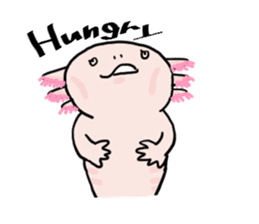 Rough axolotl,  Hanayo <English version> sticker #4412386