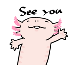 Rough axolotl,  Hanayo <English version> sticker #4412387
