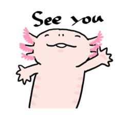 Rough axolotl,  Hanayo <English version> sticker #4412387